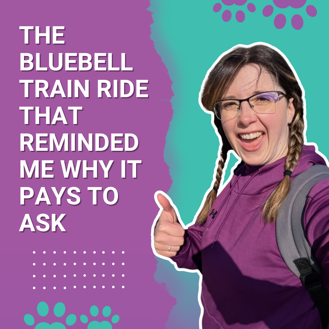 The Bluebell Train Ride That Reminded Me Why It Pays to Ask